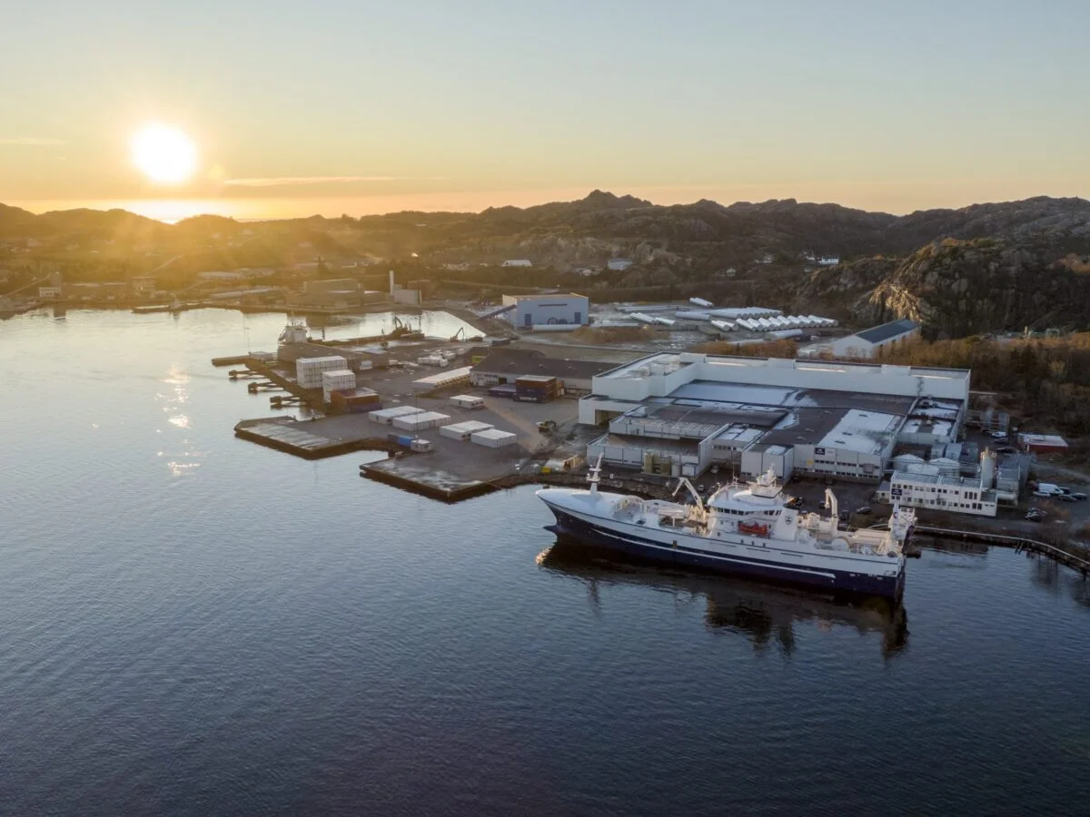 Dronefoto Egersund havn